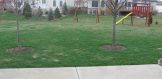 3023 Tall Grass Dr (8)